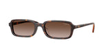 W65613 - Dark Havana / Brown Gradient