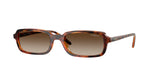 W65613 - Dark Havana / Gradient Brown