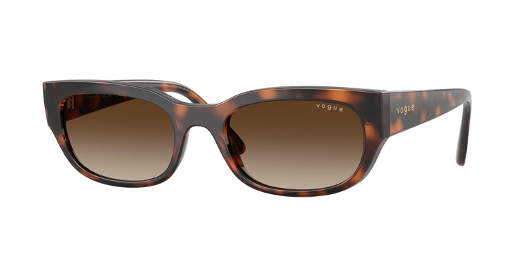 271813 - Total Dark Havana / Gradient Brown