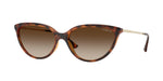 W65613 - Dark Havana / Gradient Brown