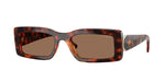 W65673 - Dark Havana / Dark Brown