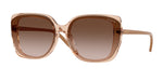 318113 - Transparent Light Brown / Gradient Dark Brown