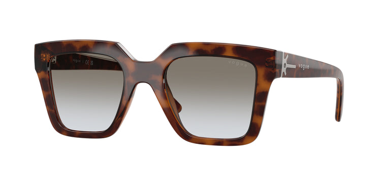 23868G - Brown Havana / Grey Gradient