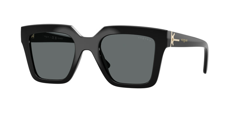W44/81 - Black / Dark Grey Polarized