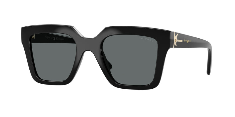 W44/81 - Black / Dark Grey Polarized