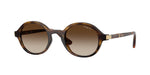W65613 - Dark Havana / Gradient Brown