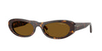 W65683 - Dark Havana / Dark Brown Polarized