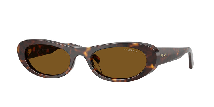 W65683 - Dark Havana / Dark Brown Polarized