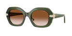 328713 - Transparent Green / Brown Gradient