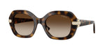 W65613 - Dark Havana / Gradient Brown