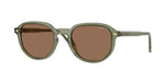 318773 - Transparent Green / Dark Brown