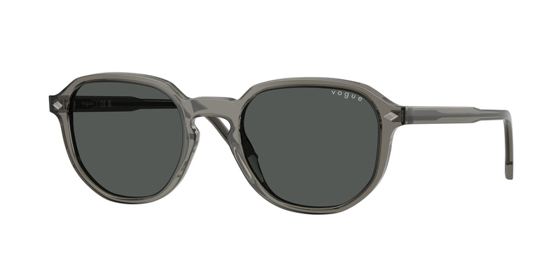 329487 - Transparent Dark Grey / Dark Grey