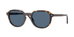 W65680 - Dark Havana / Dark Blue