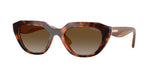 W656T5 - Dark Havana / Brown Polarized