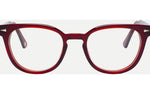 Burgundy - Burgundy / Demo