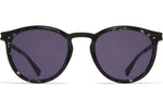 A50 Black/Black Havana / Cool Grey (CAT3)