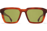 C214 Soft Havana/Shiny Silver / Euphosgreen (CAT2)