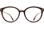 C220 Amber Havana/Champag Gold / 