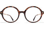 C220 Amber Havana/Champag Gold / 