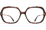 C220 Amber Havana/Champag Gold / 
