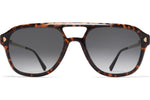 C220 Amber Havana/Champag Gold / Grey Gradient (CAT2)