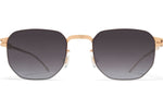 Silver/Champagne Gold / Dusk Gradient (CAT3)
