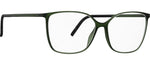 5560 - Forest Green / 