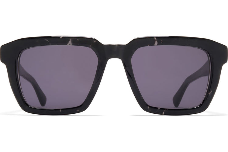 C110 Black Havana/Shiny Silver / Cool Grey (CAT3)