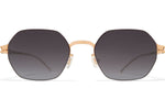 Silver/Champagne Gold / Dusk Gradient (CAT3)