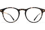 C22 Antigua/Champagne Gold / 