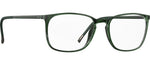 5710 - Black Pine / 