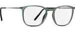 5560 - Crystal Sage / 