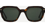 Dark Turtle / G15