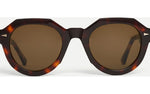 Classic Turtle - Classic Turtle / Brown