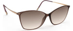6030 - Chocolate Brown / Gold / 60