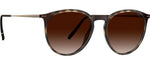 6130 - Havanna Walnut / Gold / 60