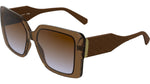 216 - CARAMEL / 