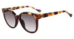 06XR - BROWN / 