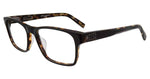 0BTO - BLACK/TORTOISE / 