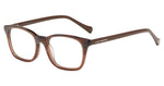 0DBR - DARK BROWN HORN