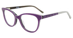 0PUR - PURPLE / Other