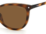 86SP - 086SP HVN / SP BROWN POLARIZED