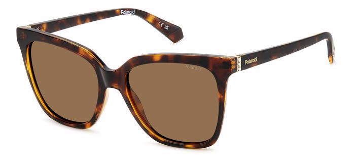 86SP - 086SP HVN / SP BROWN POLARIZED