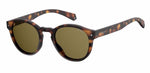 86SP - 086SP HVN / SP BRONZE POLARIZED