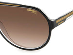 M2HA - 2M2HA BLK GOLD B / HA BROWN SHADED
