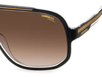 M2HA - 2M2HA BLK GOLD B / HA BROWN SHADED