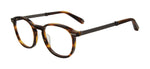 09FM - BROWN HAVANA / 