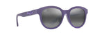 658-28 - Matte Dark Violet with Purple Interior / Neutral Grey