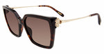 0909 - CLASSIC HAVANA