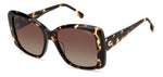 R9LA - WR9LA BRW HAVAN / LA BROWN SHADED POLARIZED